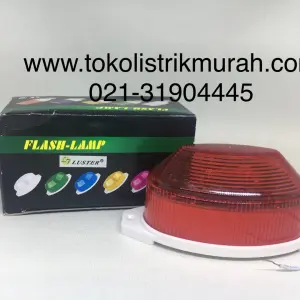 Non-LED Flash lamp/ blitz  2 img_e1622